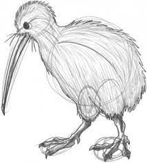 This ensures your quilt is unique just to you. Pin By L Bennett On Drawing Bird Drawings Bird Illustration Kiwi Bird