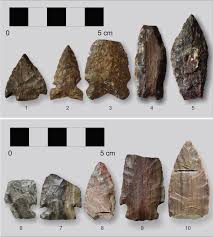 We did not find results for: Petrified Wood Preserving Alberta S Natural And Human History Retroactive