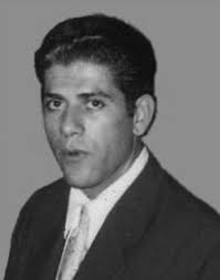 Literary Journalism Studies