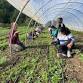 Farm Volunteer Day