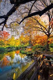 Japanese Gardens Pond Beautiful Gardens Japanese Garden Scenery