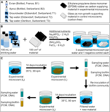 Experimentation might involve a deeper engagement with throwing, glazing, moulding or hand building techniques but not to a specialist level. Towards A Probiotic Approach For Building Plumbing Nutrient Based Selection During Initial Biofilm Formation On Flexible Polymeric Materials Biorxiv