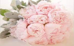 Vastu Tips For Good Luck Tortoise Long Life In Vastu Shastra Vastu Dekho In 2020 Bridal Bouquet Peonies Flowers Silk Wedding Bouquets