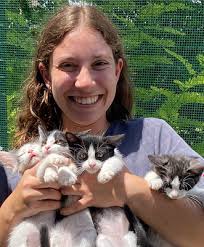 Summer Externship & Fellowships