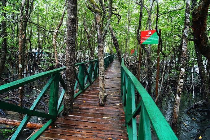 Into the Wild: Exploring Baratang Island's Mangroves & Limestone Caves (2026 Guide)
