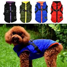 Alibaba.com offers 168,053 custom printed pet products. Small Dog Vest Harness Pet Winter Warm 2 In 1 Outfit Padded Jacket For Small Puppy Dogs Pet Printed Cold Weather Coat Buy From 9 On Joom E Commerce Platform
