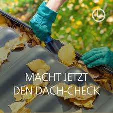 Herbstanfang Regenrinne Fallrohr Dach