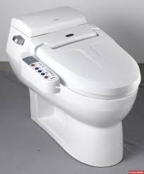 Toilet Bidet Handicapped Guide To Toilet Bidets Bidet Toilet Seats And Bidet Attachments Bidet Bidet Toilet Combo Bidet Toilet Seat