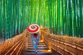 See tripadvisor's 7,069,927 traveler reviews and photos of japan tourist attractions. Japan In Pictures 15 Beautiful Places To Photograph Planetware