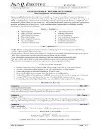 Building a modern resume for a sales director position requires a lot of effort, time, as well as some professional help. Sales Executive Resume