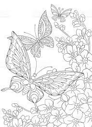 Stylized Cartoon Butterfly And Sakura Flower Hand Drawn Sketch For Malvorlagen Fruhling Schmetterling Ausmalen Kostenlose Erwachsenen Malvorlagen