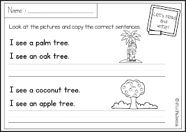 There Are 20 Pages Of Sentence Writing Worksheets In This Product These Pages Are Great For Pre K Kindergarte Sentence Writing Kindergarten Resources Writing