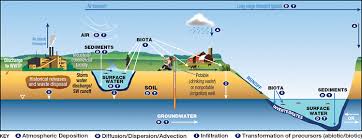 Pfas molecules are made up of a chain of linked carbon and fluorine atoms. Pfas Sources Enviro Wiki