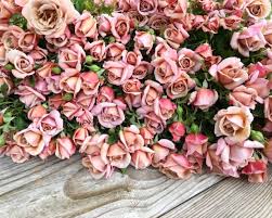 Composed and recorded by emily a. The Farmer The Florist Interview Grace Rose Farm Floret Flowers