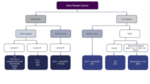 One is for the female hormone estrogen. Pan Asian Adapted Esmo Clinical Practice Guidelines For The Management Of Patients With Early Breast Cancer A Ksmo Esmo Initiative Endorsed By Csco Ismpo Jsmo Mos Sso And Tos Annals Of Oncology