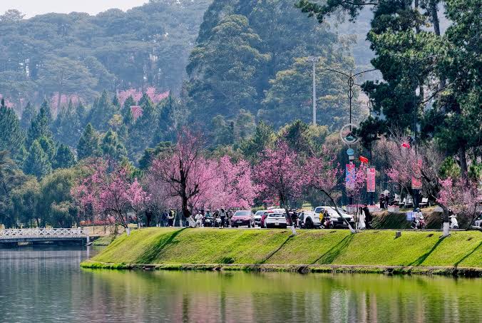 Đà Lạt Blossom