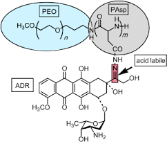List of celebrities with first name bala. Supramolecular Drug Delivery Systems Based On Polymeric Core Shell Architectures Haag 2004 Angewandte Chemie International Edition Wiley Online Library