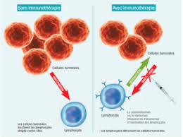 Près de 8 cas sur 10 se développent chez les personnes âgées de plus de 60 ans, habituellement des fumeurs. Immunotherapie Dans Le Cancer Du Poumon Evaluation A 5 Ans Hopital Fr Federation Hospitaliere De France
