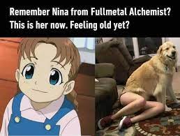 10 Best Nina Fma Ideas In 2021 Fma Fullmetal Alchemist Brotherhood Fullmetal Alchemist