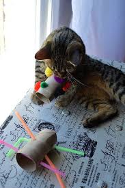 Cat Abandoned Kittens What Does Cats And Kittens Mean In A Dream Cat Diy Diy Cat Toys Diy Pet Toys