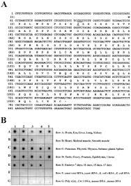 If they suspect throat cancer, they may order a. Which Treatment Would Most Likely Be Used For Cancer Brainly