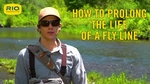 Bass pro shops carry quality fly fishing accessories, tackle & tools. Best Fly Fishing Brands In 2021 Our Top 9 List
