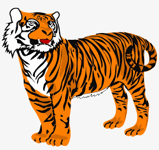 All of the tiger clipart resources are in png format with transparent background. Tiger Png Clipart Tiger Clipart Free Transparent Png Download Pngkey