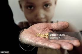 87 Alan Brandt Stock Photos, High-Res Pictures, and Images