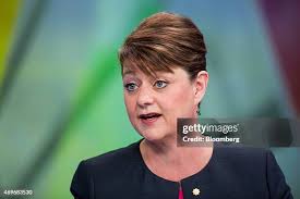 Leanne Wood, leader of Welsh nationalist party Plaid Cymru, poses for...  News Photo