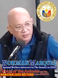 Norman Cordero Marquez