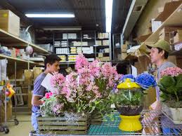 Få 11.000 endnu en smiling florist in greenhouse stockvideo på 29.97 fps. Special Arrangements A Story About Ashland Addison Florist Co On The Distance