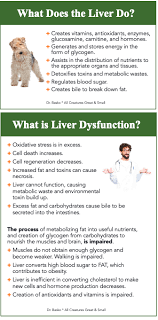 Vitamin supplements for dogs with liver disease. Supporting Liver Function And Detoxification In Canine Patients Ivc Journal