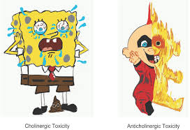 Image result for Cholinergic Toxicity