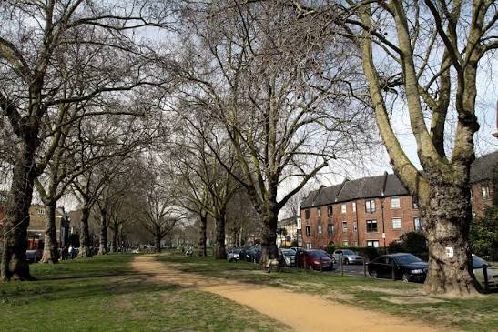 Brook Green