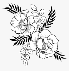 Floral, decorative clip art, decorative. Hand Drawn Flower Png Transparent Png Is Free Transparent Png Image To Explore More Similar Hd Image On Pngi Flower Drawing Hand Drawn Flowers Floral Drawing