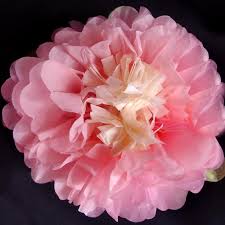 Click on image to view plant details. Closeout 16 Pink Multi Color Tissue Paper Flower Pom Pom Decorations 3 Pack Ez Fluff Paper Flowers Pinwheels Luna Bazaar Boho Vintage Style Decor
