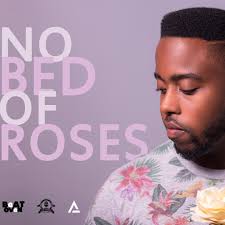 Stream No Bed Of Roses