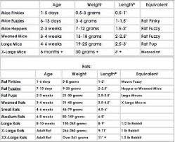 Weight Size And Age Chart Corn Snake Bearded Dragon