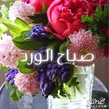صور مساء وصباح الخير good morning cards beautiful morning messages good evening wishes