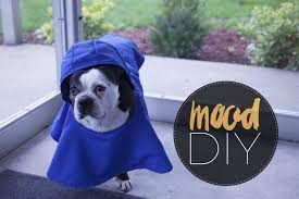 This raincoat has these advantages 2. Mood Diy How To Sew A Puppy Raincoat Mood Sewciety