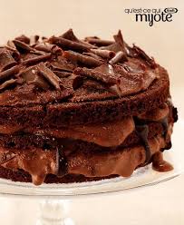 Triple Gateau Au Chocolat Qu Est Ce Qui Mijote De Kraft Recipe Chocolate Pudding Recipes Cake Just Cakes