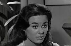 Hawaiian Eye" A Touch of Velvet (TV Episode 1961)