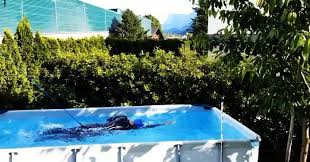 3km Swim Video In 2020 Backyard Pool Pool Swimming Pools