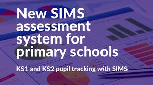 The primary assessment is checking the abc's and if there is severe bleeding. New Sims Assessment System For Primary Schools Sims Power Bi Blog