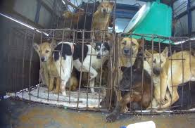 The brutal reality 3