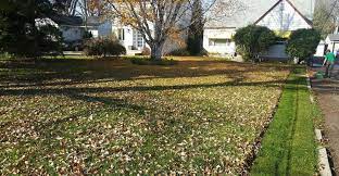 We're back to add to our printable cleaning checklists with lots of tips and tricks great for a backyard clean up! Yard And Property Clean Ups Winnipeg Mb 204 202 6939