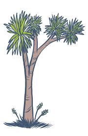 Both options take a while to work, and during that time, the stump will stick out unpleasantly in your lawn. The Cabbage Tree Method