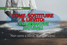 Infine tra i metodi più antichi per sostituire il lievito per dolci c'è quello di usare la pasta madre, conosciuta anche sotto il nome di pasta acida. Come Posso Sostituire Il Lievito Ecco Le Alternative Naturali
