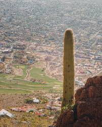 See cactus restaurants on uber eats that you've never tried? Visit Phoenix On Instagram Pretty Sure It S Impossible To Get A Bad View From Camelback See Why It S One Of The Best Hike Best Hikes Visit Phoenix Camelback
