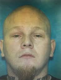 Police searching for assault suspect